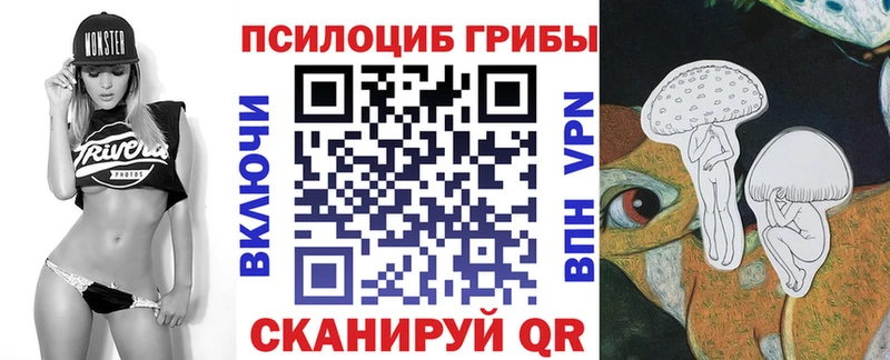 Псилоцибиновые грибы Psilocybe  Струнино 